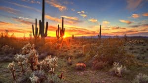 Arizona temperatur, klima og vær gjennom året
