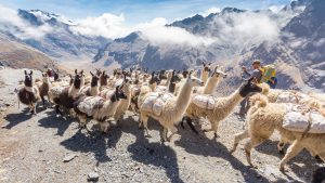 Bolivia temperatur, klima og vær gjennom året