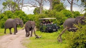 Botswana temperatur, klima og vær gjennom året