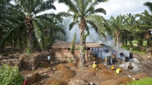 Burundi temperatur, klima og vær gjennom året
