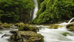 Været og temperatur i Costa Rica i februar 2026