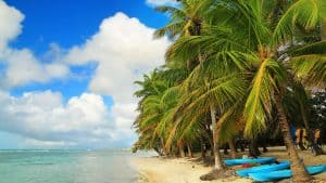Guadeloupe temperatur, klima og vær gjennom året