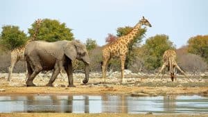 Namibia temperatur, klima og vær gjennom året