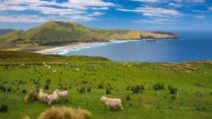 Været og temperatur i New Zealand i mars 2018