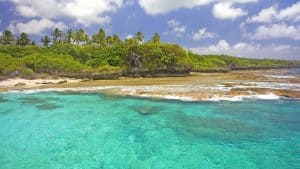 Niue temperatur, klima og vær gjennom året