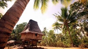 Været og temperatur i Øst-Timor i desember 2025