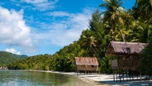 Papua Ny-Guinea temperatur, klima og vær gjennom året