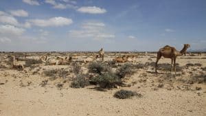 Somalia temperatur, klima og vær gjennom året