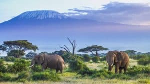 Tanzania temperatur, klima og vær gjennom året
