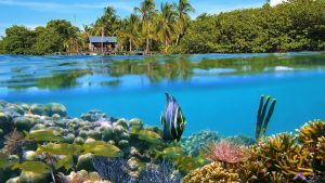 Været og temperatur i Bocas del Toro i september 2025