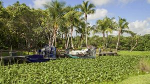 Været og temperatur i Everglades National Park i juni 2016