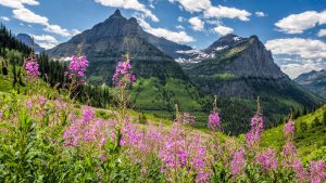 Glacier National Park temperatur, klima og vær gjennom året
