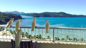 Hamilton Island temperatur, klima og vær gjennom året