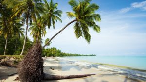 Været og temperatur i Khao Lak i september 2021