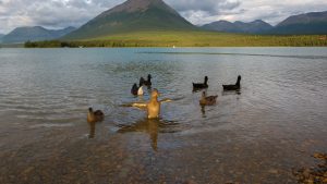 Lake Clark National Park and Preserve temperatur, klima og vær gjennom året