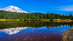 Mount Rainier National Park temperatur, klima og vær gjennom året