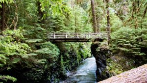 Været og temperatur i Olympic National Park i januar 2022