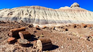 Petrified Forest National Park temperatur, klima og vær gjennom året