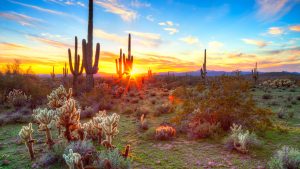 Saguaro National Park temperatur, klima og vær gjennom året