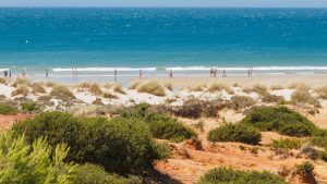 Chiclana de la Frontera temperatur, klima og vær gjennom året