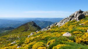 Lozère temperatur, klima og vær gjennom året