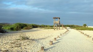Været og temperatur i San José del Cabo i november 2022