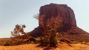 Oljato–Monument Valley temperatur, klima og vær gjennom året