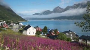 Senja temperatur, klima og vær gjennom året
