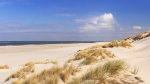 Callantsoog temperatur, klima og vær gjennom året