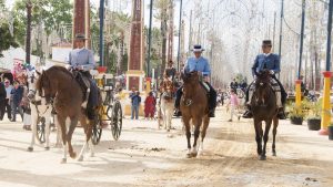 Jerez de la Frontera temperatur, klima og vær gjennom året