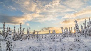 Lappland (Sverige) temperatur, klima og vær gjennom året