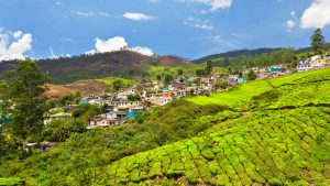 Været og temperatur i Darjeeling i november 2025