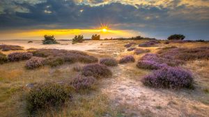 Været og temperatur i De Hoge Veluwe (nasjonalpark) i juli 2025