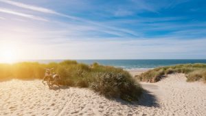 Renesse temperatur, klima og vær gjennom året