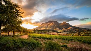 Stellenbosch temperatur, klima og vær gjennom året