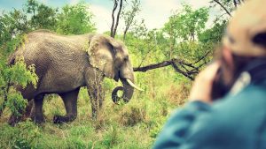 Krugerpark temperatur, klima og vær gjennom året