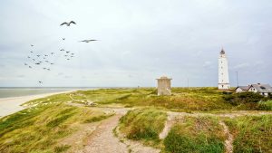 Blåvand temperatur, klima og vær gjennom året