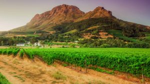 Cape Winelands temperatur, klima og vær gjennom året