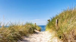 Været og temperatur i Nordstrand i august 2022