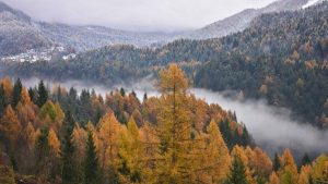 Montana temperatur, klima og vær gjennom året