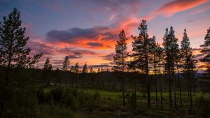 Nesbyen temperatur, klima og vær gjennom året