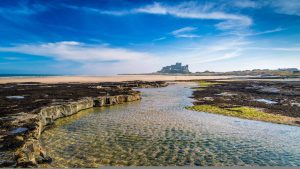 Northumberland temperatur, klima og vær gjennom året
