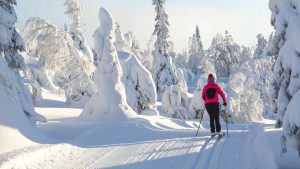 Kuusamo temperatur, klima og vær gjennom året