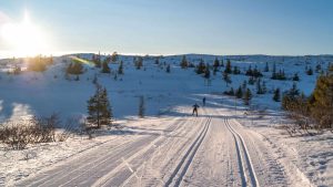 Branäs temperatur, klima og vær gjennom året