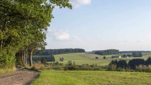 Vlaamse Ardennen temperatur, klima og vær gjennom året