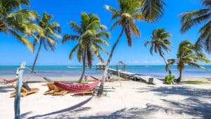 Været og temperatur i Ambergris Caye i august 2024