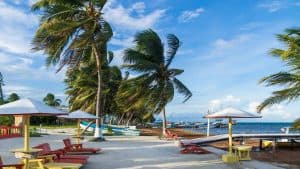 Været og temperatur i Caye Caulker i januar 2026
