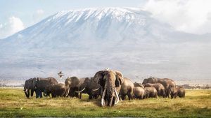 Amboseli National Park temperatur, klima og vær gjennom året