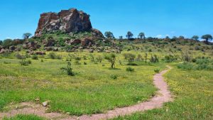 Mapungubwe National Park temperatur, klima og vær gjennom året