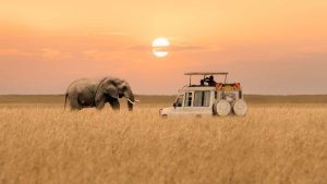 Masai Mara National Reserve temperatur, klima og vær gjennom året